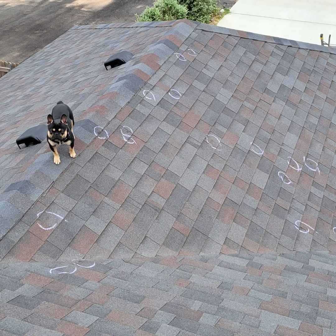 Big Texas Roofing inspections photo